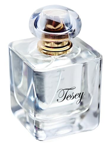 Tesey - تیسی