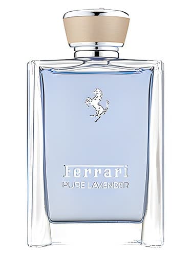 Pure Lavender - اسطوخودوس پیور