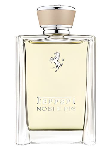 Noble Fig - انجیر نجیب