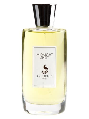 Midnight Spirit - روح نیمه نایت