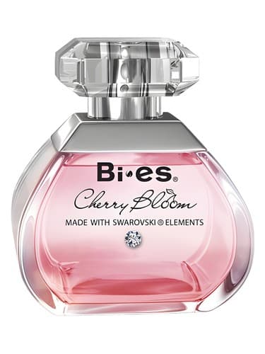 Cherry Bloom