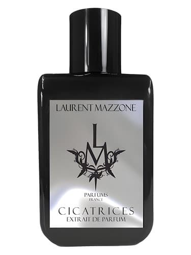 Cicatrices - سیکاتریس
