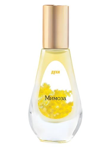 Mimoza