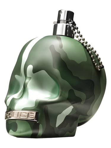 To Be Camouflage - استتار شدن