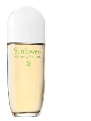 Sunflowers Morning Gardens