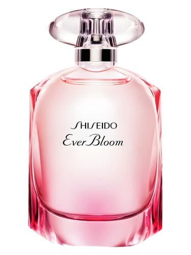 Ever Bloom  