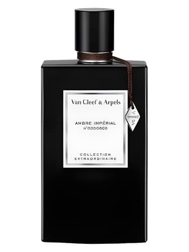 Ambre Impérial - امبره امپریال