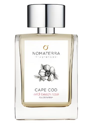 Cape Cod Wild Beach Rose - رز ساحلی وایلد کیپ کاد