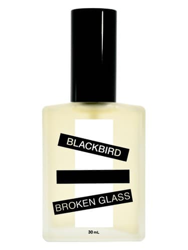 Broken Glass