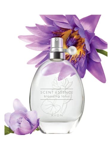 Scent Essence - Blooming Lotus - Scent Essence - لوتوس شکوفه