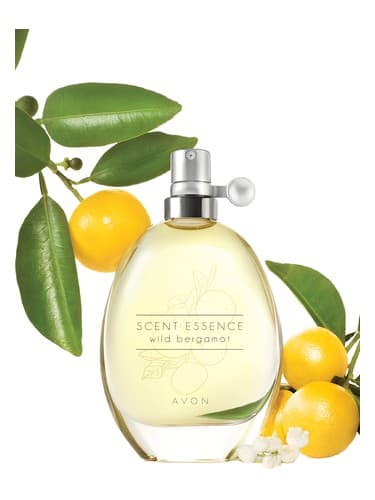 Scent Essence - Wild Bergamot - اسانس اسانس - ترنج وایلد