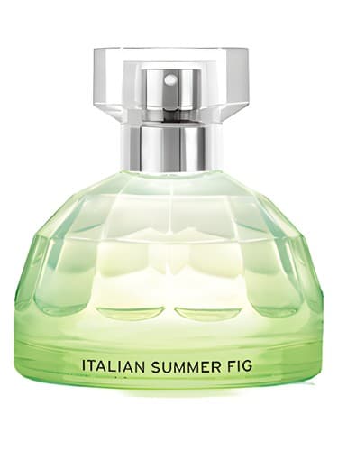 Italian Summer Fig - انجیر تابستانی ایتالیایی