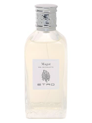 Magot - ماگوت