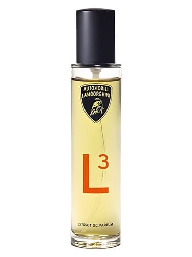 L3 