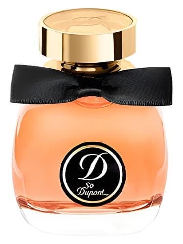 So Dupont Paris by Night Pour Femme - بنابراین Dupont Paris توسط Night Pour Femme