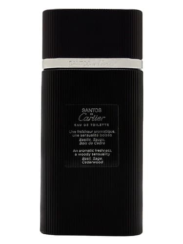 Santos de Cartier - سانتوس د کارتیه
