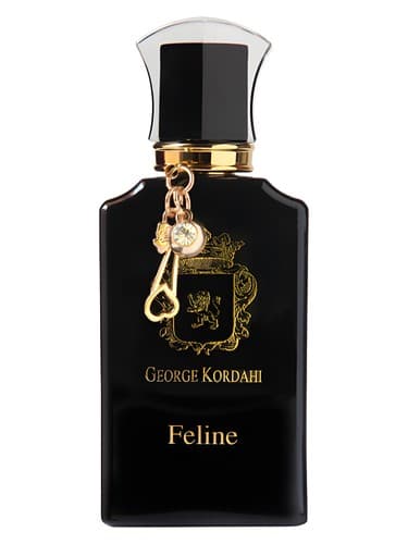 Feline - گربه سانان