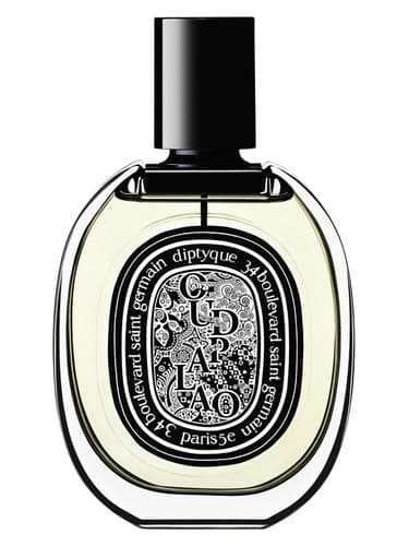 Oud Palao Eau de Parfum - ادو پرفیوم Oud Palao