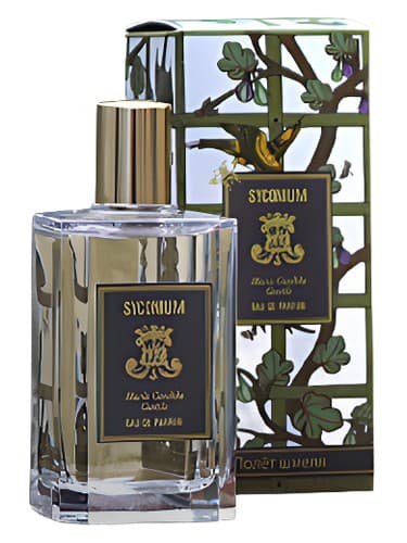 Syconium - سیکونیوم