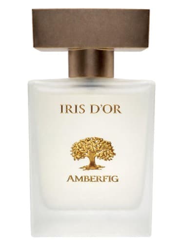 Iris d'Or - زنبق گلد