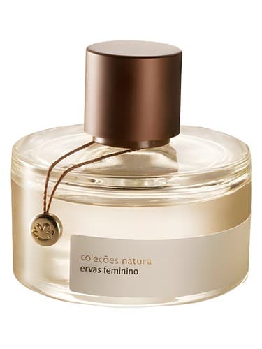 Ervas Feminino