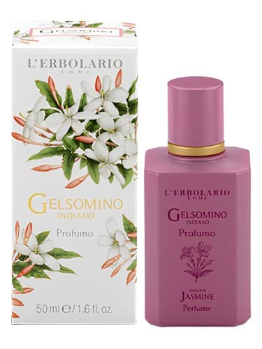 Gelsomino Indiano