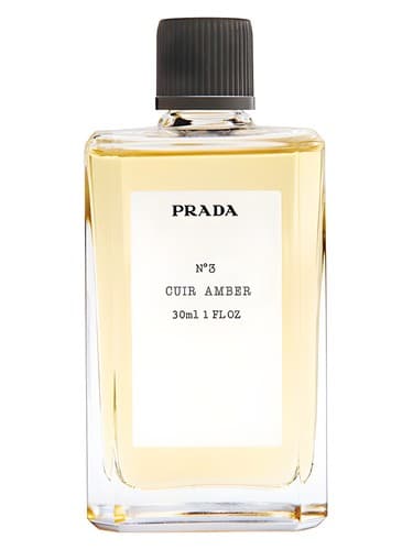 No3 Cuir Amber - شماره 3 کویر امبر