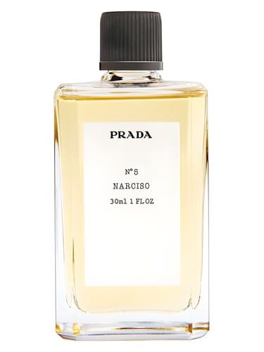 No5 Narciso