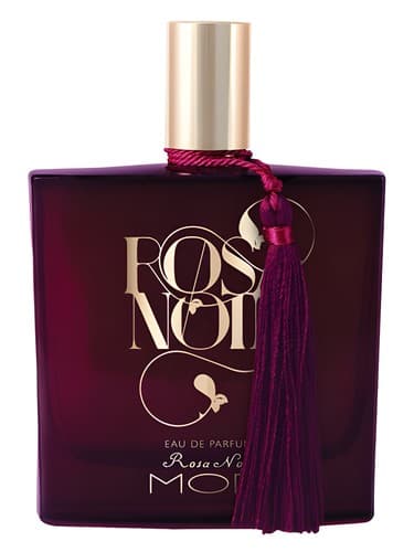 Rosa Noir - رزا نوآر