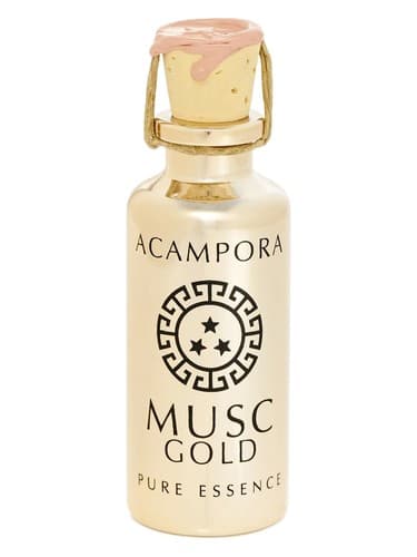 Musc Gold – Pure Essence