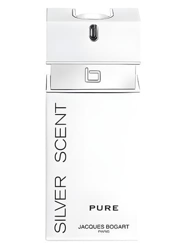 Silver Scent Pure - رایحه نقره پیور