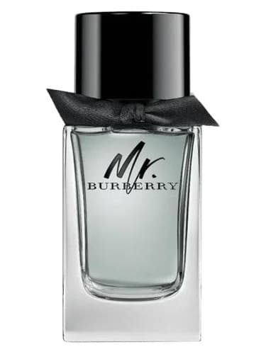 Mr. Burberry