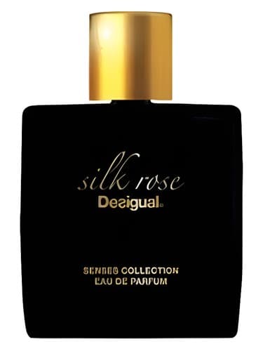 Silk Rose - رز ابریشم