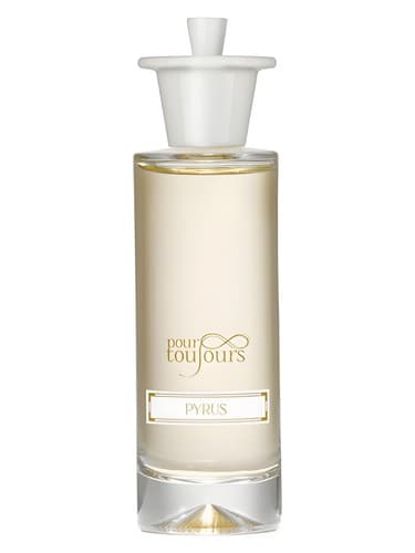 Pyrus - پیروس