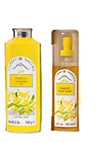 Mimosa - میموزا