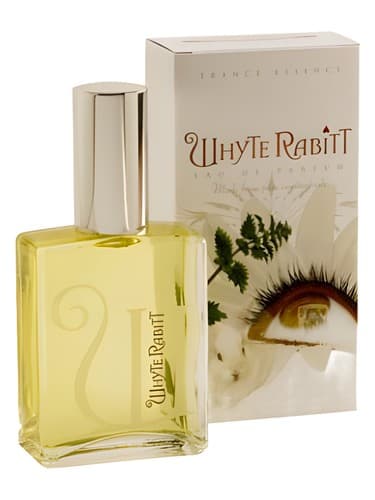 Whyte Rabbit - خرگوش وایت