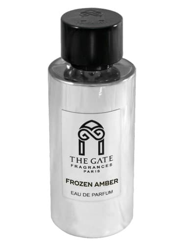 Frozen Amber