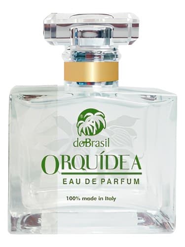 Orquídea 