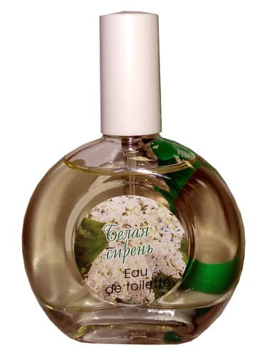 White Lilac Белая Сирень - یاس وایولت وایت Белая Сирень