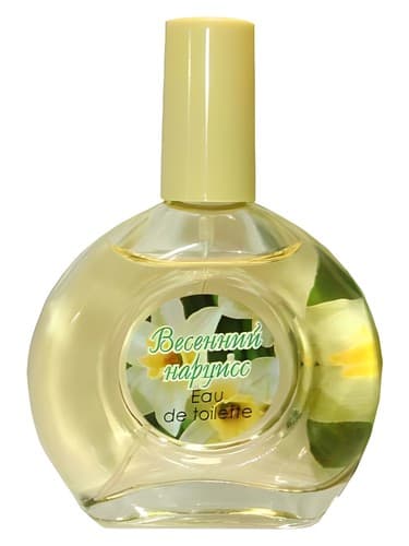 Spring Narcissus Весенний Нарцисс - نرگس بهاری Весенний Нарцисс