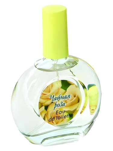 Tea Rose Чайная Роза - رز تی Чайная Роза