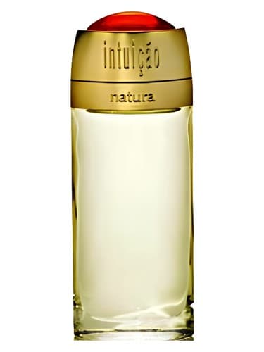 Intuição