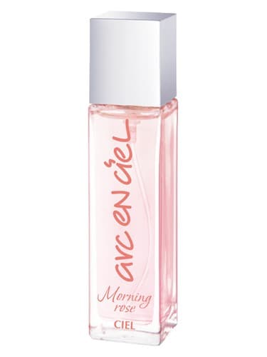 Arc-en-Ciel Morning Rose - رز صبح آرک ان سیل