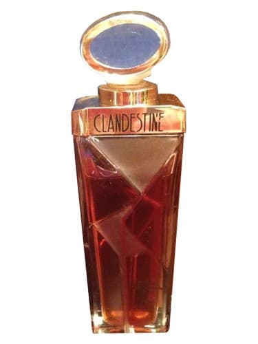 Clandestine Parfum - عطر مخفی