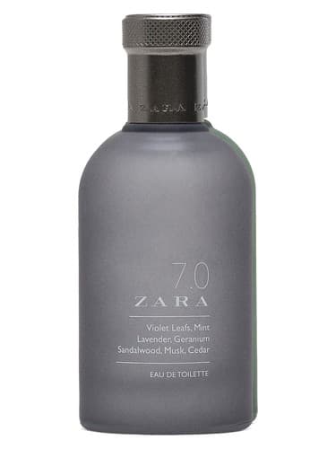 7.0 Zara