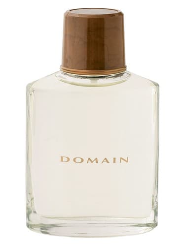 Domain - دامنه