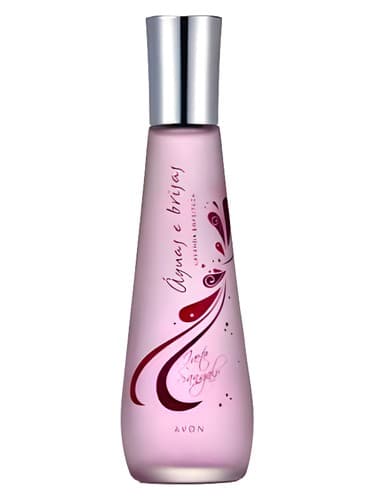 Lavanda Enfeitada - لاواندا انفیتادا