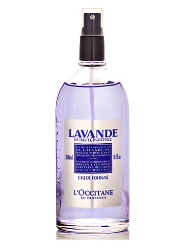 Lavanda - لاواندا