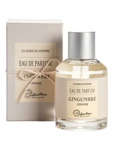 Ginger - زنجبیل