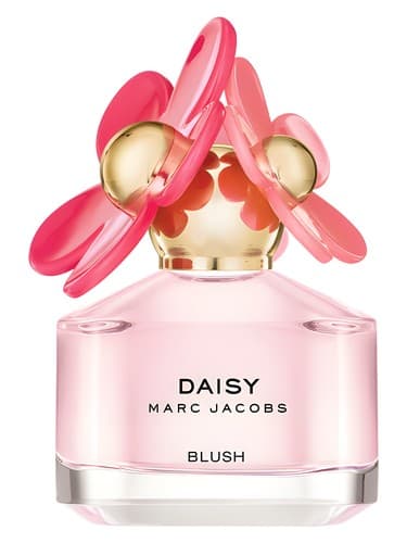 Daisy Blush  